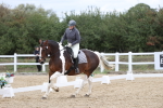 SBM_003028