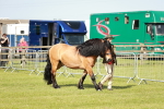SBM_01590
