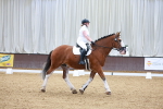 SBM_000131