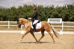 SBM_008779