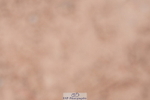 240505A-104324-04665