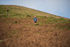 Wasdale Show-833