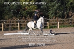 BPP_7978