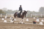 SBM_004796