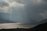 Crepuscular Delight
