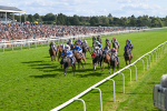 240824-Race 5-Elmonjed-1748