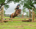 Dunblane show-21