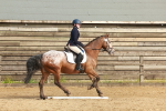 SBM_000195
