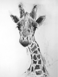 open edition prints portfolio