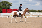 SBM_04138