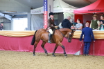 SBM_06439