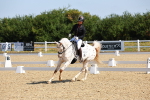 SBM_009665