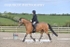BPP_5690