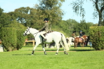 SBM_39141