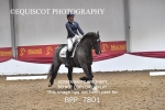 BPP_7801