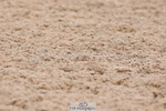 240706A-132635-02735