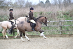 SBM_007189