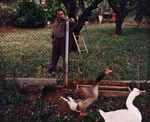 Man with Geese, Spain, 1998