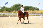 SBM_011810