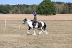 WJ6_8833