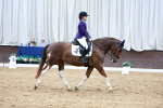 SBM_002482