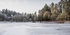 Winter at Mallards Pike - 6