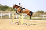 SBM_006784