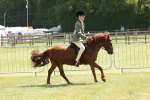 SBM_06873