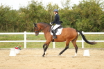 SBM_017889