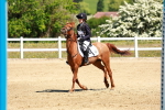 SBM_007496