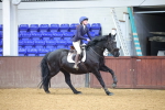 SBM_001241