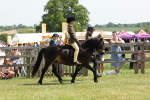 SBM_05203