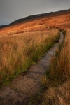 Stanage Edge, Peak District