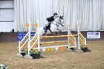 SBM_010513