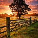 Frosty Autumn Sunrise