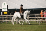 SBM_09632