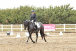SBM_003981