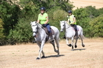 WJ6_8891