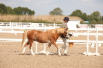 SBM_04525