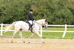 SBM_003019