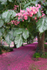 Chestnut avenue, Crossmead, Exeter