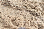 231013A-105240-01409