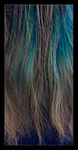Hair Color