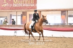 BPP_8537