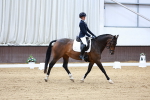 SBM_001037