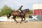SBM_06195