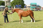 SBM_00588