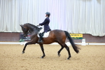 SBM_005799