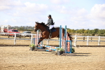 SBM_006266