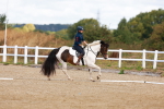 SBM_009694